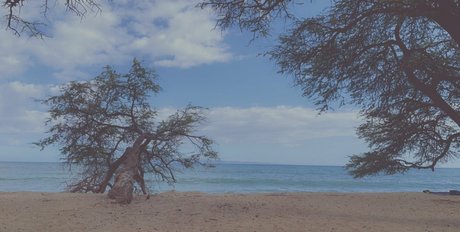 thephoqueen star gallery