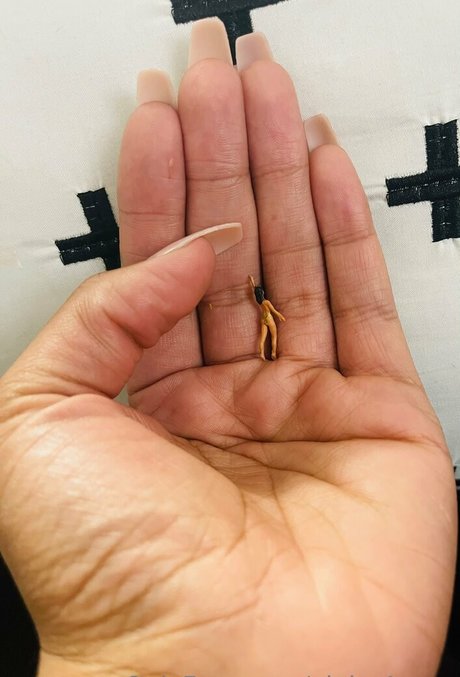 alpha4envy model nude gallery