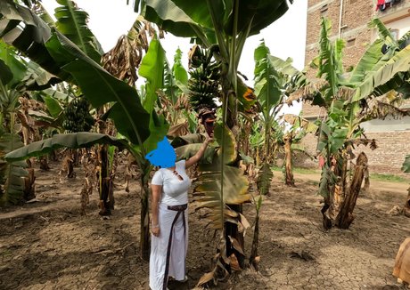 babylonias top star galleries