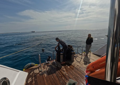 babylonias xxx model archive