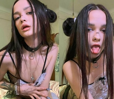 arinamuslim star images