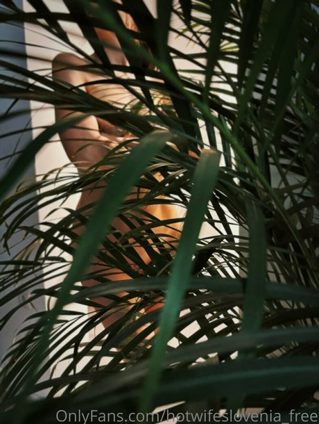 hotwifeslovenia free art actress photo