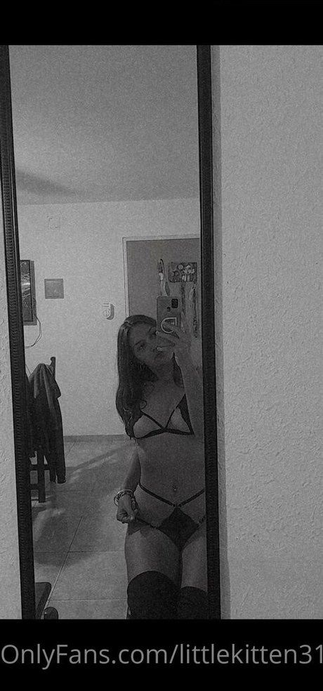 littlekitten31 star best images