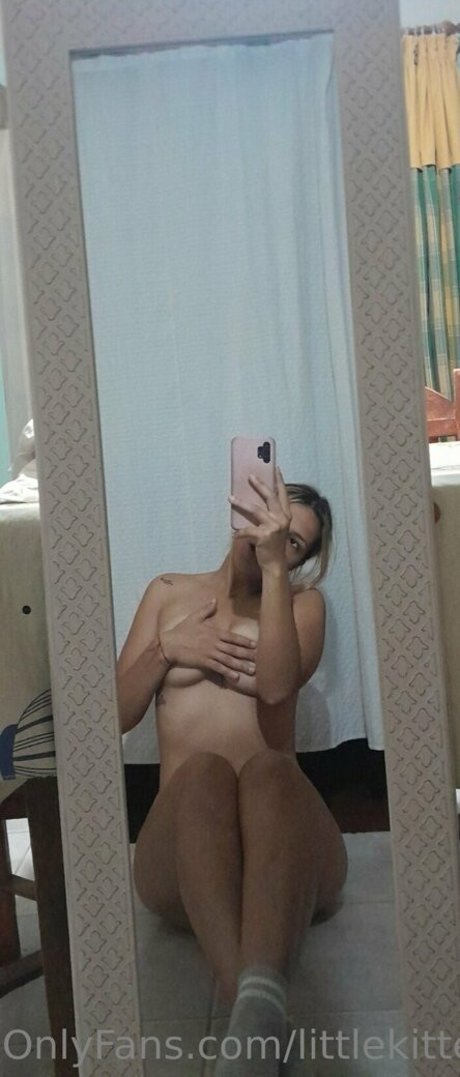 littlekitten31 star perfect pictures