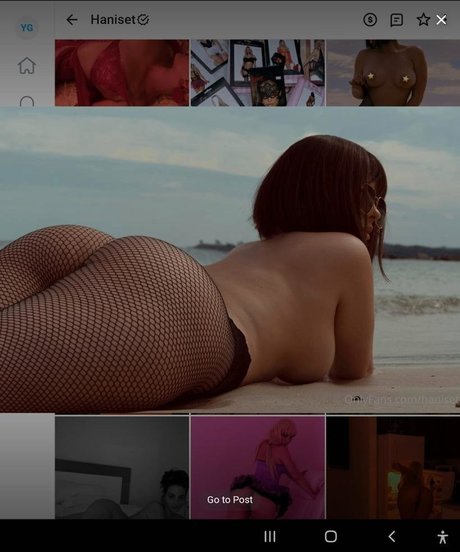 Haniset Rodriguez star porn pictures