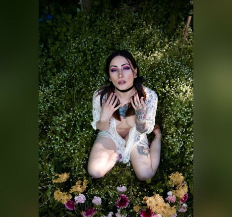 renegadephotography xxx pornstar gallery