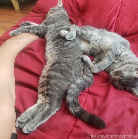 thickprsoles adult actress archive