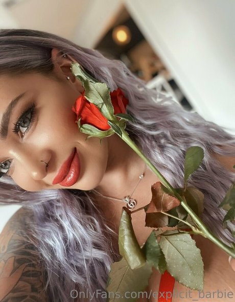 itshayleydavies perfect pornstar photo