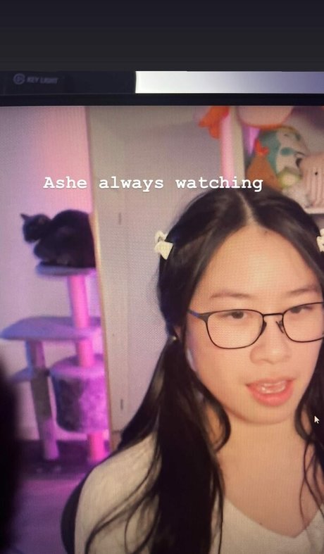 Oasisonoverwatch nice pornstar archive