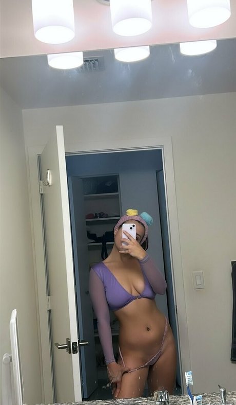 vvsm vip star gallery