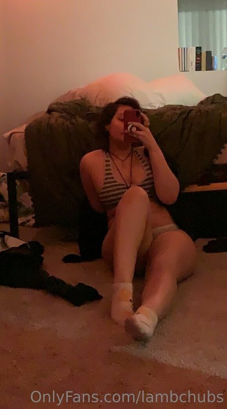 lambchubs perfect star archive