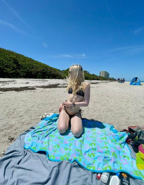 brycesgfalice star image