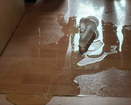 nfiixxxx star xxx img