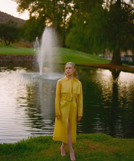 Phoebe Bridgers star pornographic image