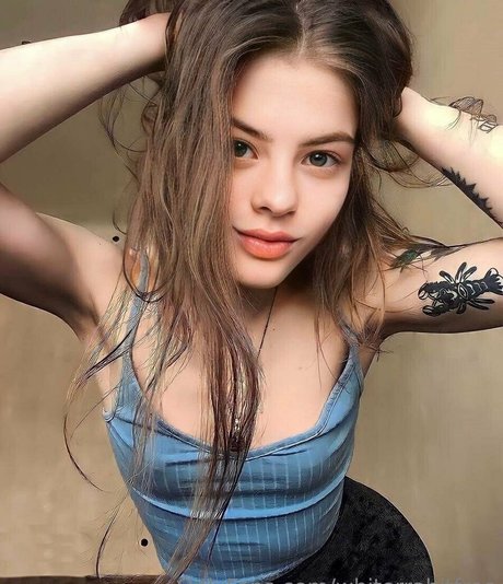 whiterrabitfree star free image