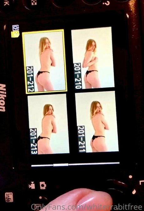 whiterrabitfree pretty model galleries