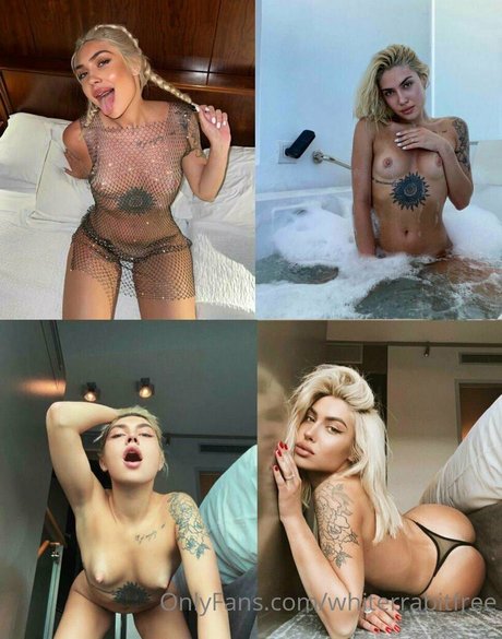 whiterrabitfree beautiful pornstar image