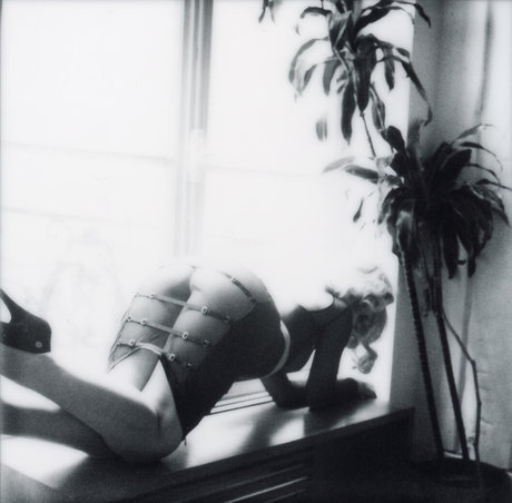 Shelbie Dimond pornstar img