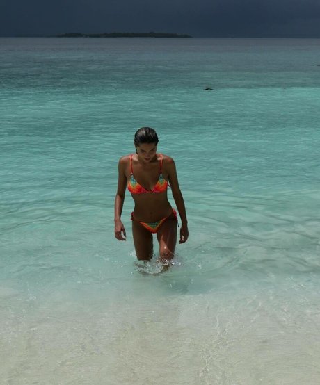 Sasha Meneghel art star photo