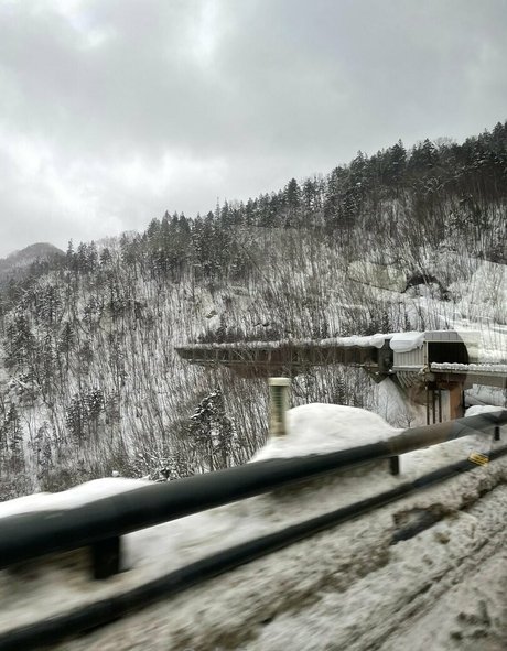 waywardme star porn photo