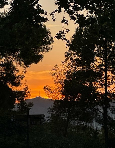 rocket bb Profile pic