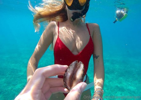 shangerdanger sexy star galleries