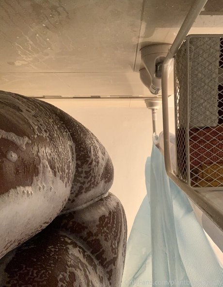 veganbootyxxx model erotic galleries