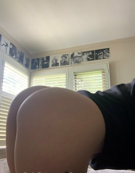 free perky peaches perfect pornstar image