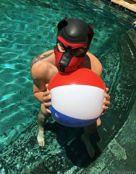 pupamp porn actress gallery