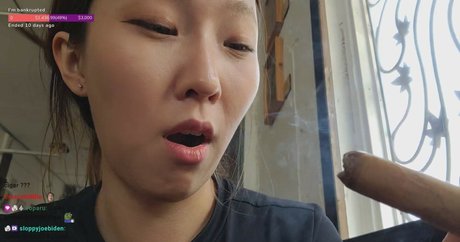 Beddle1218 porn star img