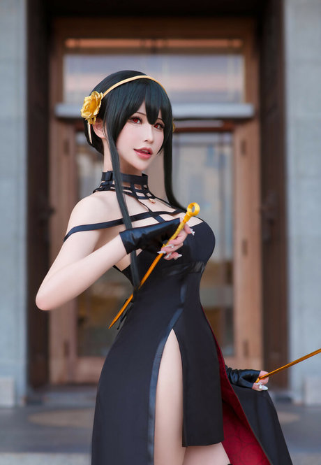 Plant Lily pornstar nice image