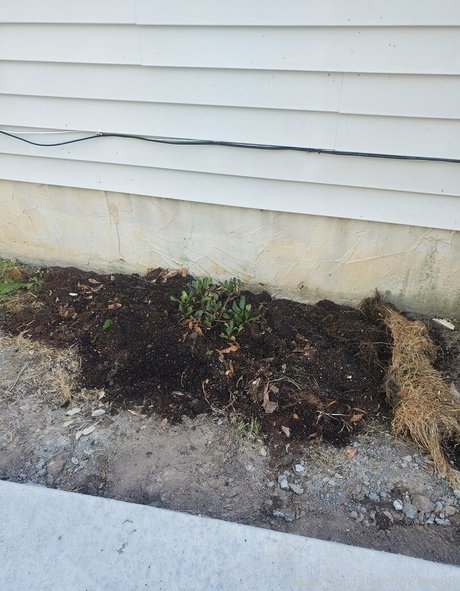 bee88i nudes pornstar image