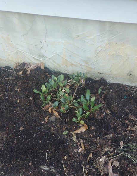 bee88i top pornstar photos