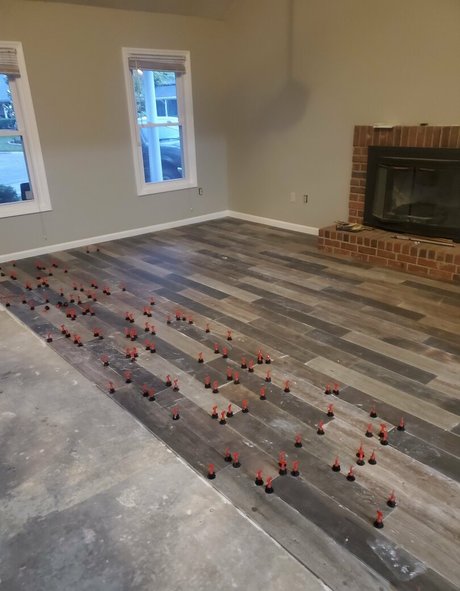 bee88i pornographic star photos