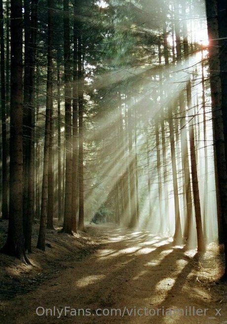 victoriamiller x adult model pic