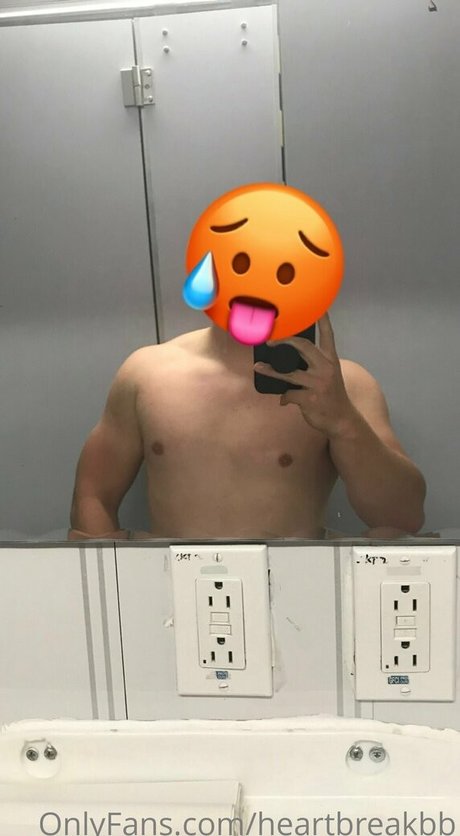 heartbreakbb art star photos