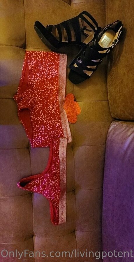 livingpotential star beautiful pics