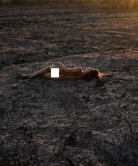 souland mind nice star img