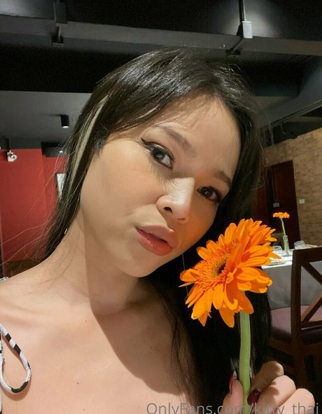 kittysphinxvipasian adult model archive