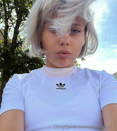 arianabird nude actress pic