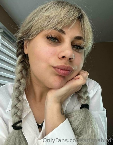 arianabird pornstar erotic archive