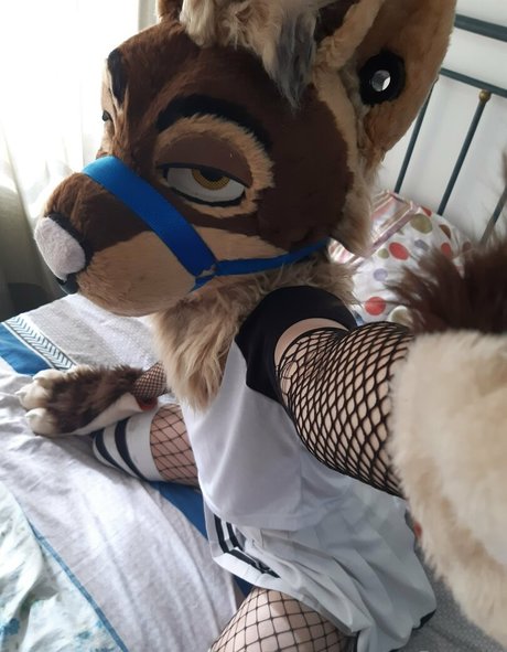 neflynxad perfect model images