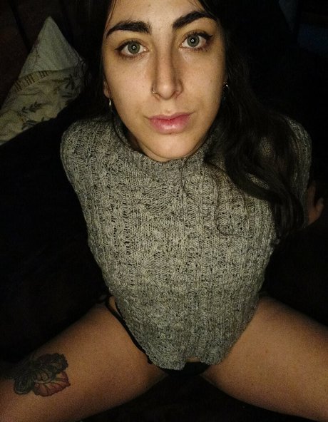 ursoftbee perfect star gallery