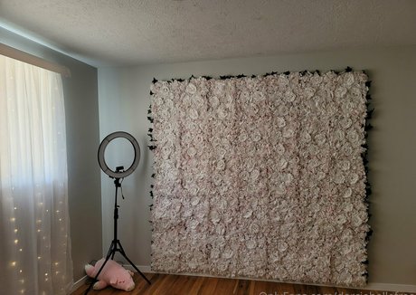 darciebellefree nude star galleries