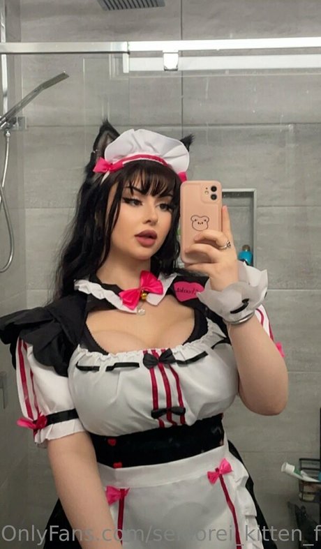 seidorei kitten free adult star img