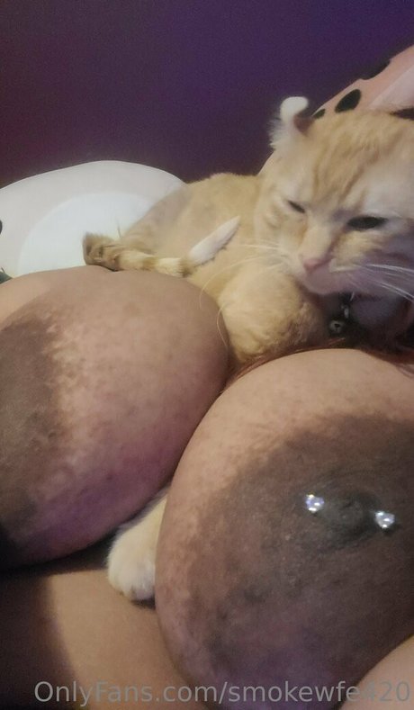 smokewfe420 star art archive