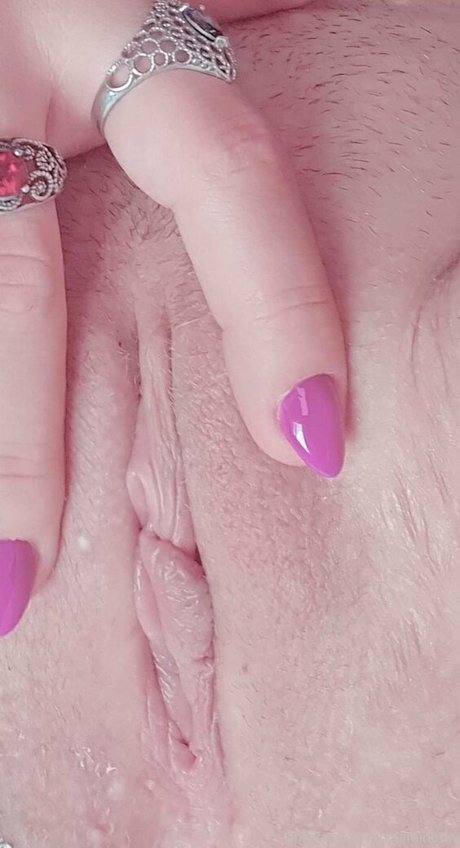 polarainbow star nice gallery