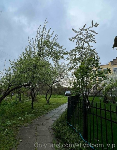 ellybloom vip pornstar free picture