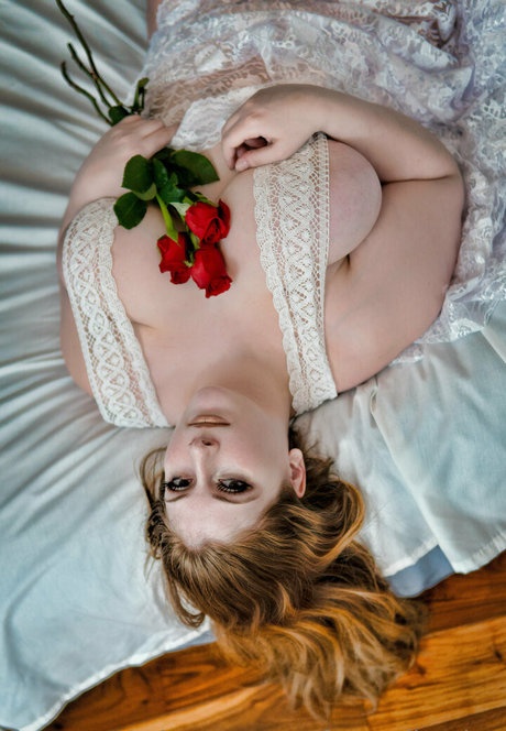 freecollection star porn galleries