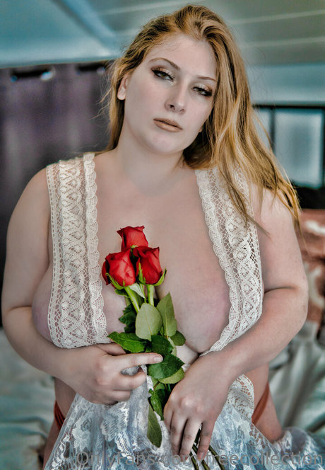 freecollection art star photos